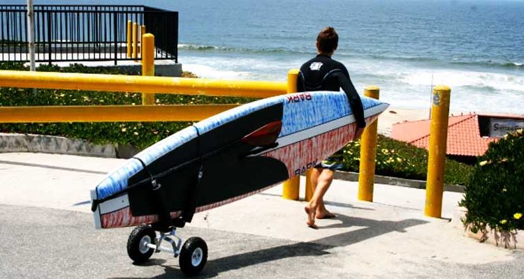 chariot Paddle